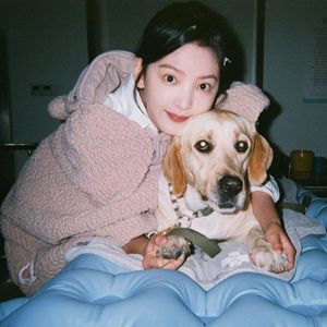 瓜老师の吃瓜日记账号密码
