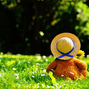 瓜老师の吃瓜日记账号密码
